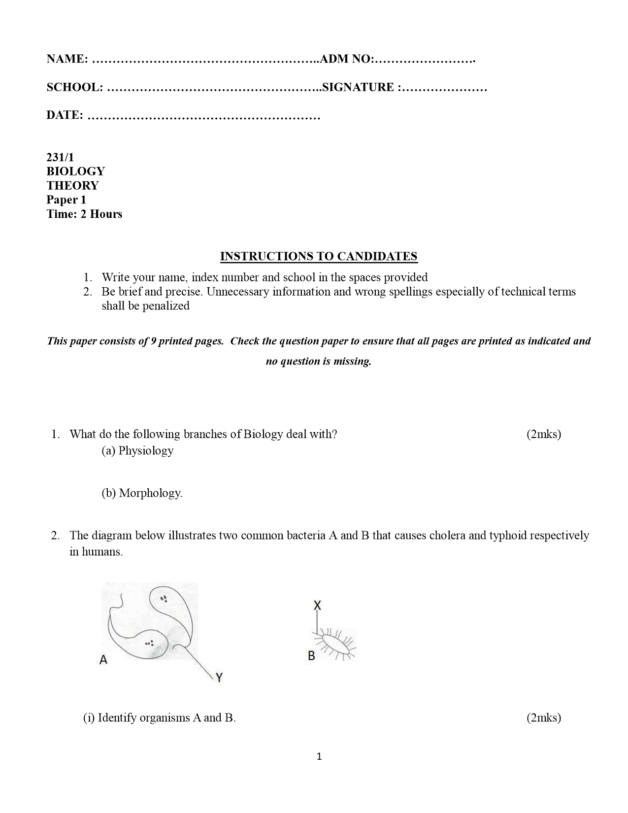 No preview available